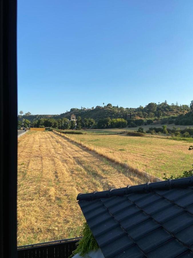 Paz Y Tranquilidad, A Un Paso De Sevilla San Juan de Aznalfarache Luaran gambar