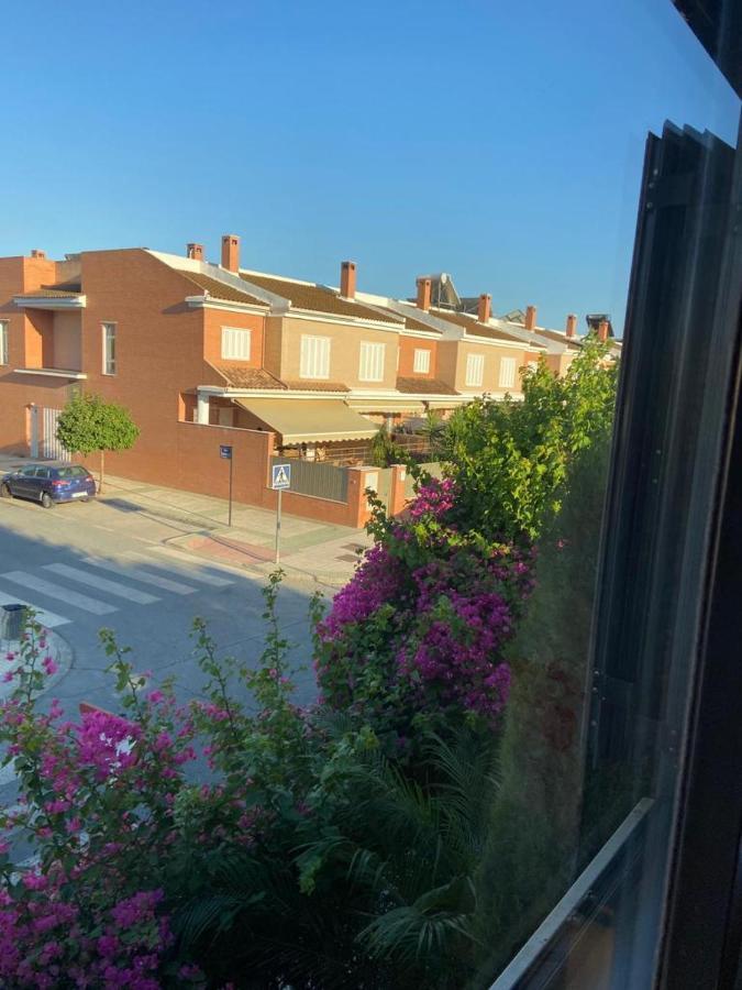 Paz Y Tranquilidad, A Un Paso De Sevilla San Juan de Aznalfarache Luaran gambar